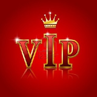 8569853 vip gold letters illustration